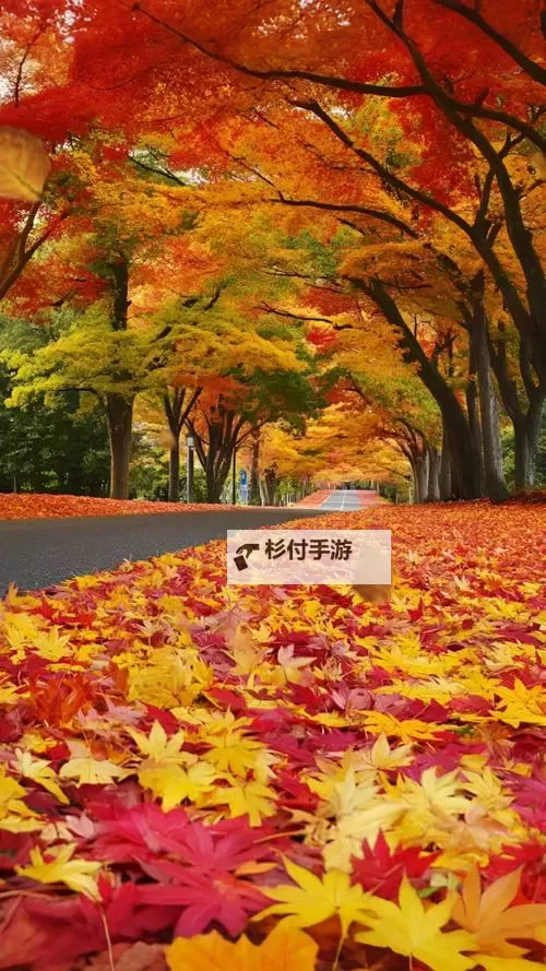 探索全新娱乐体验:X8X8拨牐拨牐X8免费视频8文字全解析图2