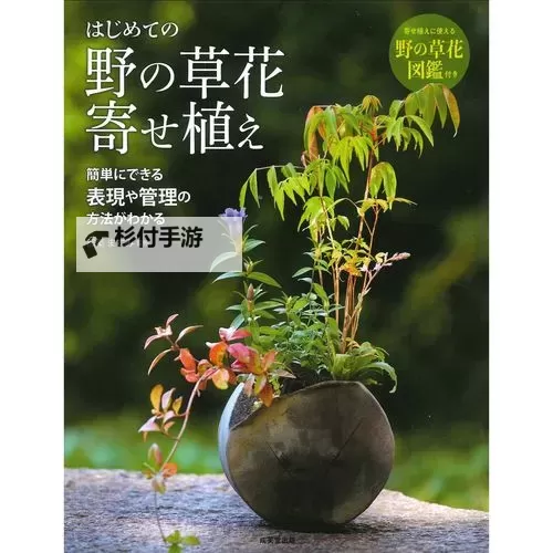 野花日本中文免费高清观看指南与介绍图1