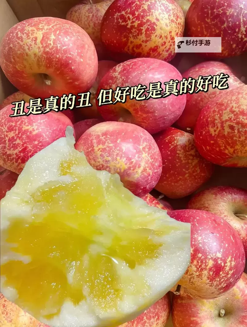 糖心粉丝在线:揭秘粉丝热潮背后的激情与温暖图1