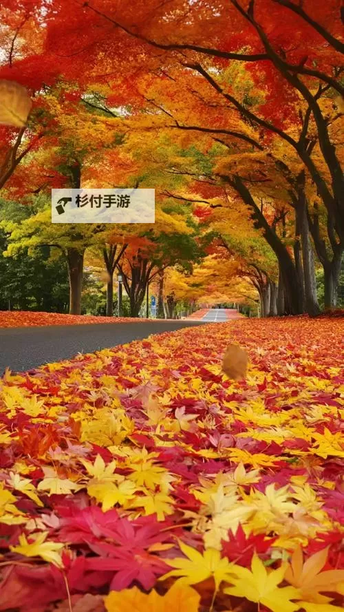 探索全新娱乐体验:X8X8拨牐拨牐X8免费视频8文字全解析图1