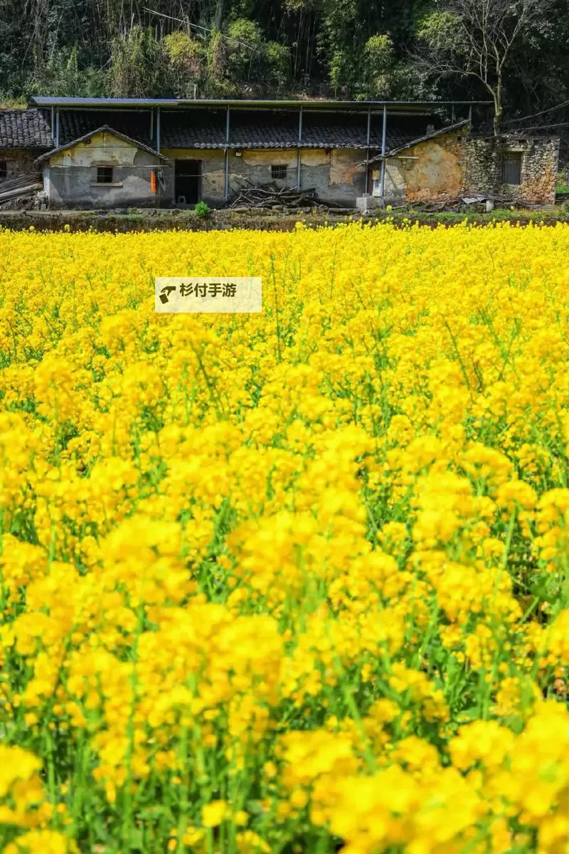 废土2 强制修理罗迪亚电塔小技巧图1