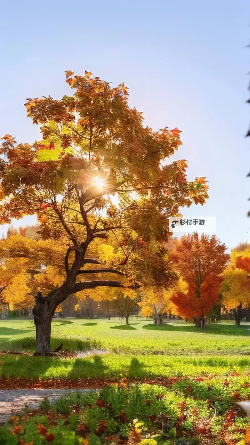 探索全新娱乐体验:X8X8拨牐拨牐X8免费视频8文字全解析图2