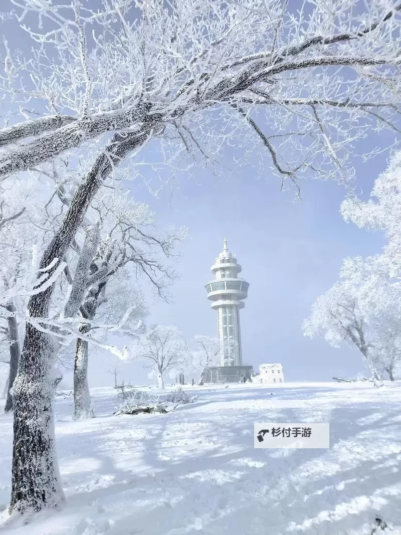 浴火战线双开挂机软件推荐 怎么双开浴火战线详细图文教程图2