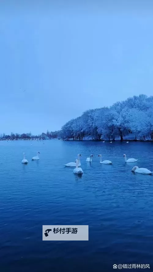 有染1V2LH出:探索色彩与欲望的极限图1