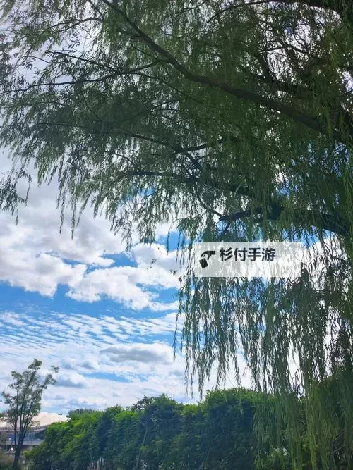 亚特兰战记双开神器 轻松一键搞定亚特兰战记挂机双开图1