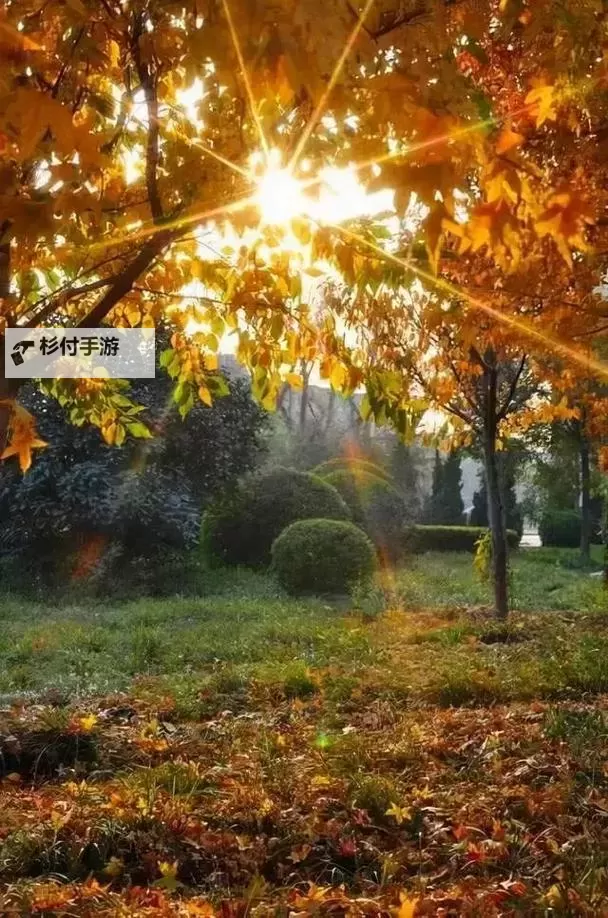 《勇者斗恶龙英雄2》小金币获得方法及兑换道具一览 小金币怎么获得图2