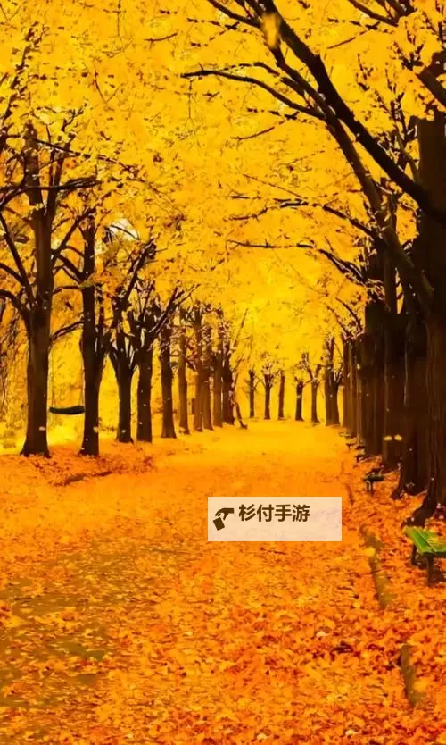 《勇者斗恶龙英雄2》小金币获得方法及兑换道具一览 小金币怎么获得图1