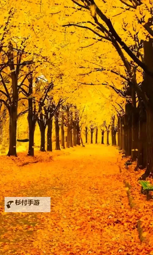 《勇者斗恶龙英雄2》小金币获得方法及兑换道具一览 小金币怎么获得图1