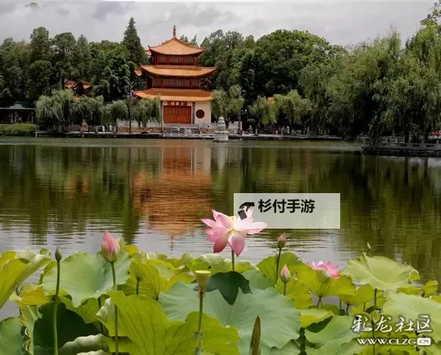 醉美的夏天：在热浪里绽放的光与影图1