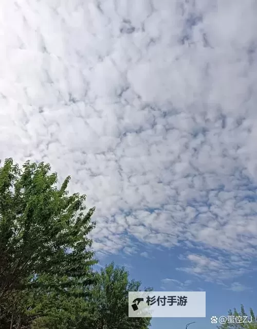 自己坐下去:在喧嚣里为心灵让路的独白图1