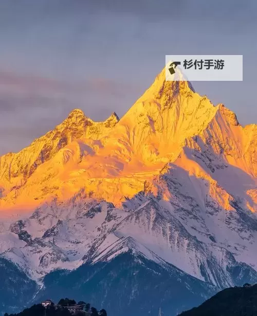 桃红色界网页:在数字花海中寻觅被雨洗净的边界图1