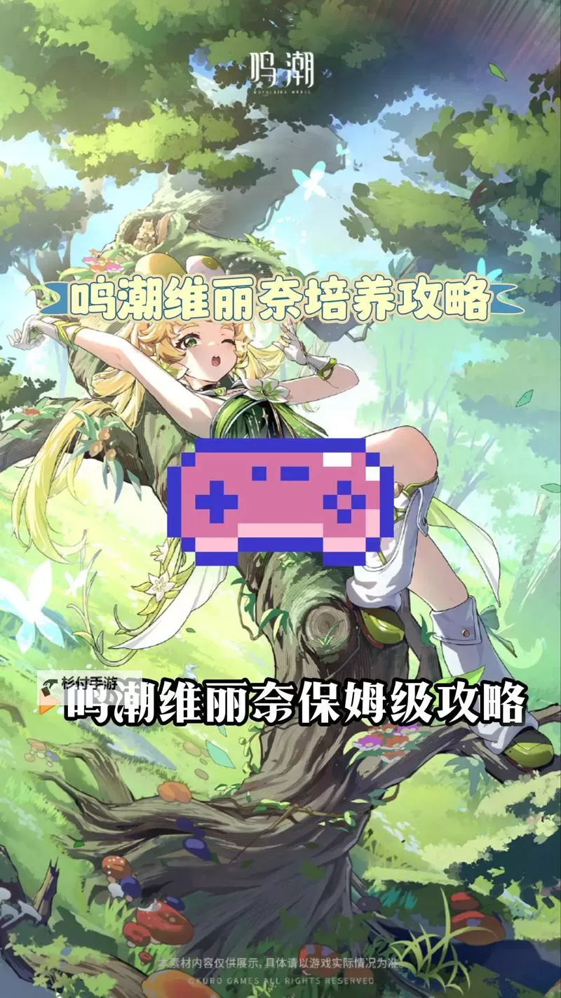 《鸣潮》维里奈养成一图流 维里奈怎么培养图1