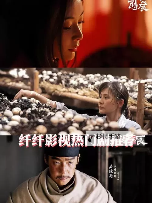 在光影的回声里,揭秘纤纤影视在线最好看电视剧的魅力图1