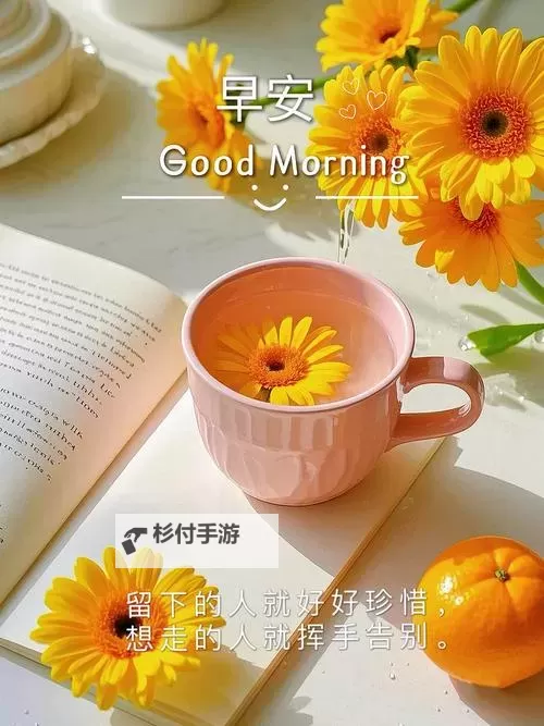 生活日日 新:在平凡的晨光里重新命名日子图1