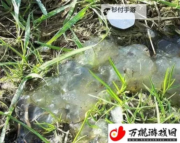 夜幕下的果冻传染煤黄色：一座城的诡异传说图1