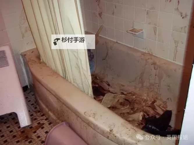 夜色中的回响:浴室少女自杀二十天图1